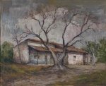 Paisaje de Ministro Rivadavia