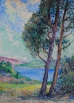 Arboles junto al lago